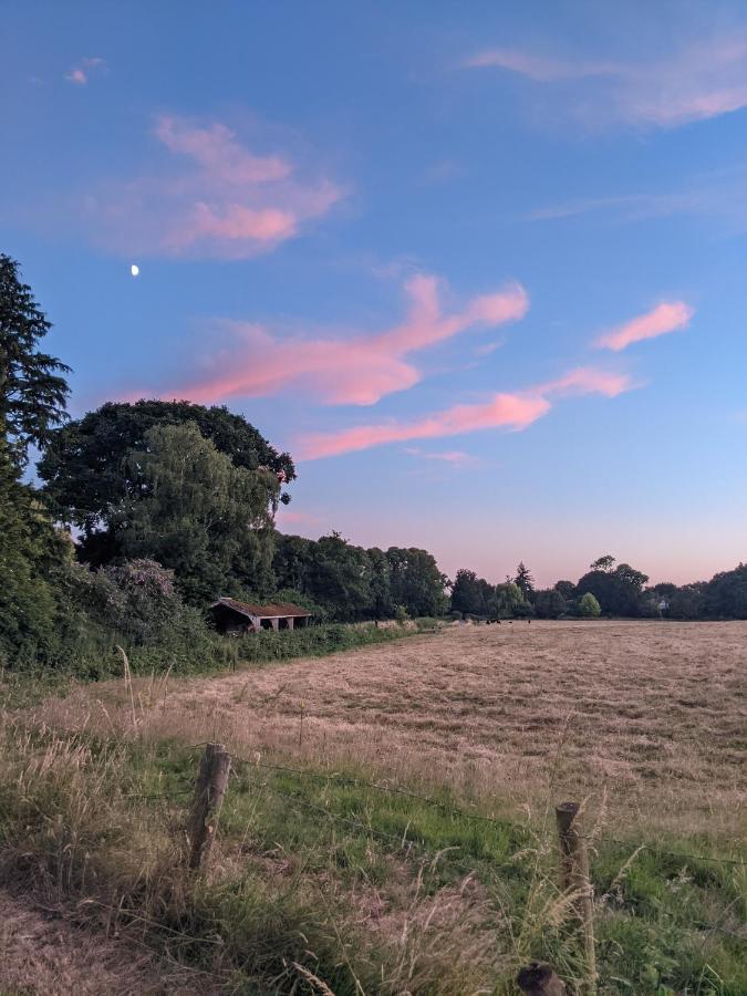 Aldon Farmhouse Villa เยโอวิล ภายนอก รูปภาพ